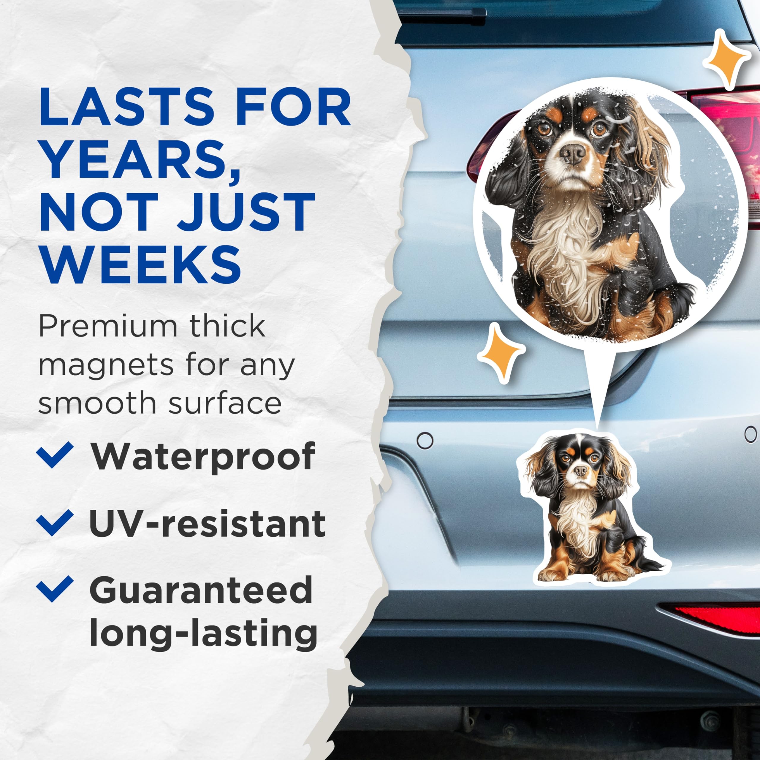 (2 Pack) Cavalier King Charles Spaniel Magnets - Tricolor Dog Lover - Puppy Pet Parent Decor - 5 Inches On Longest Side - Thick Durable Magnet - Made in USA - MAG30118