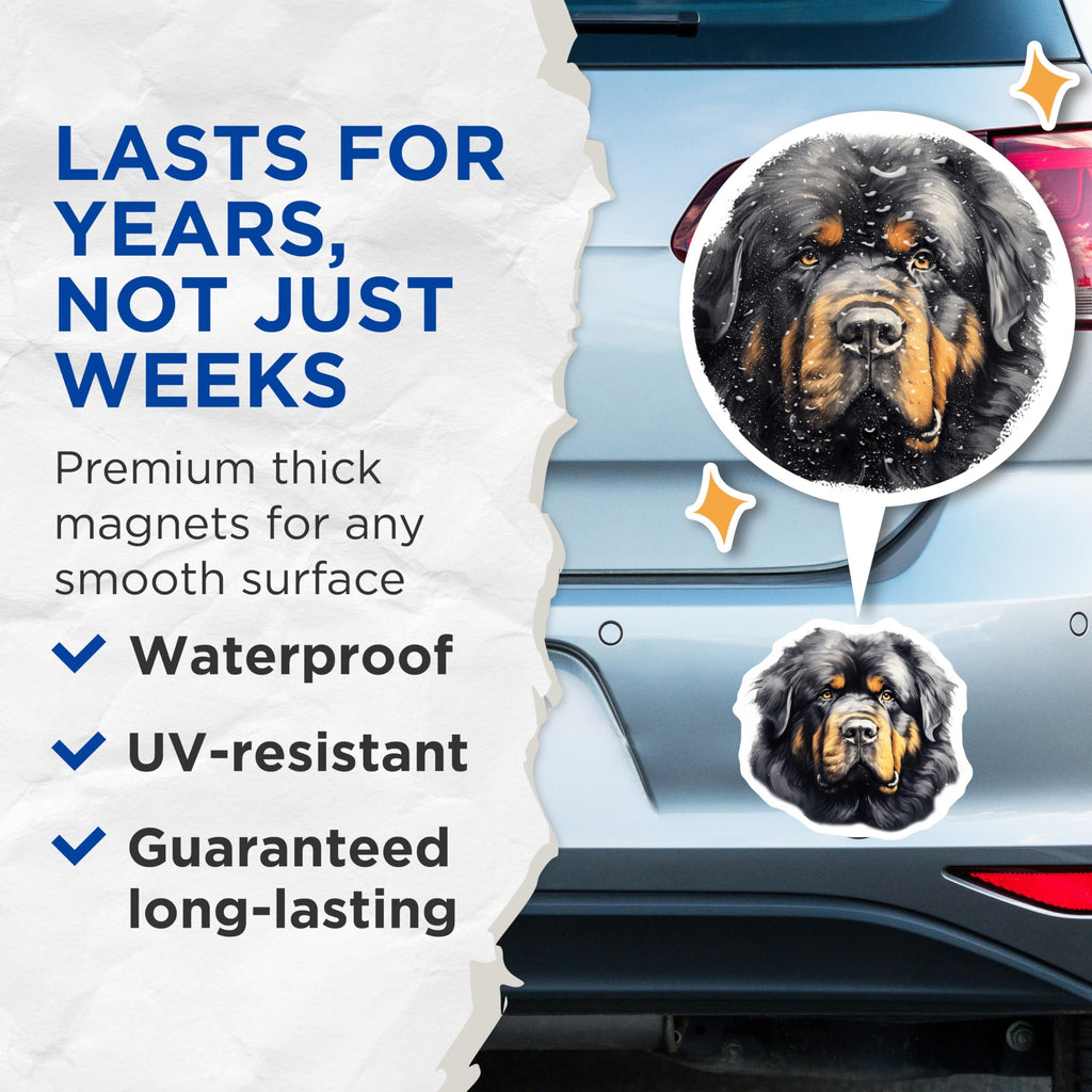 (2 Pack) Tibetan Mastiff Magnets - Regal Dog Breed Art - Big Canine Pet Owner Refrigerator Home Decor - 5 Inches On Longest Side - Thick Durable Magnet - Made in USA - MAG29628