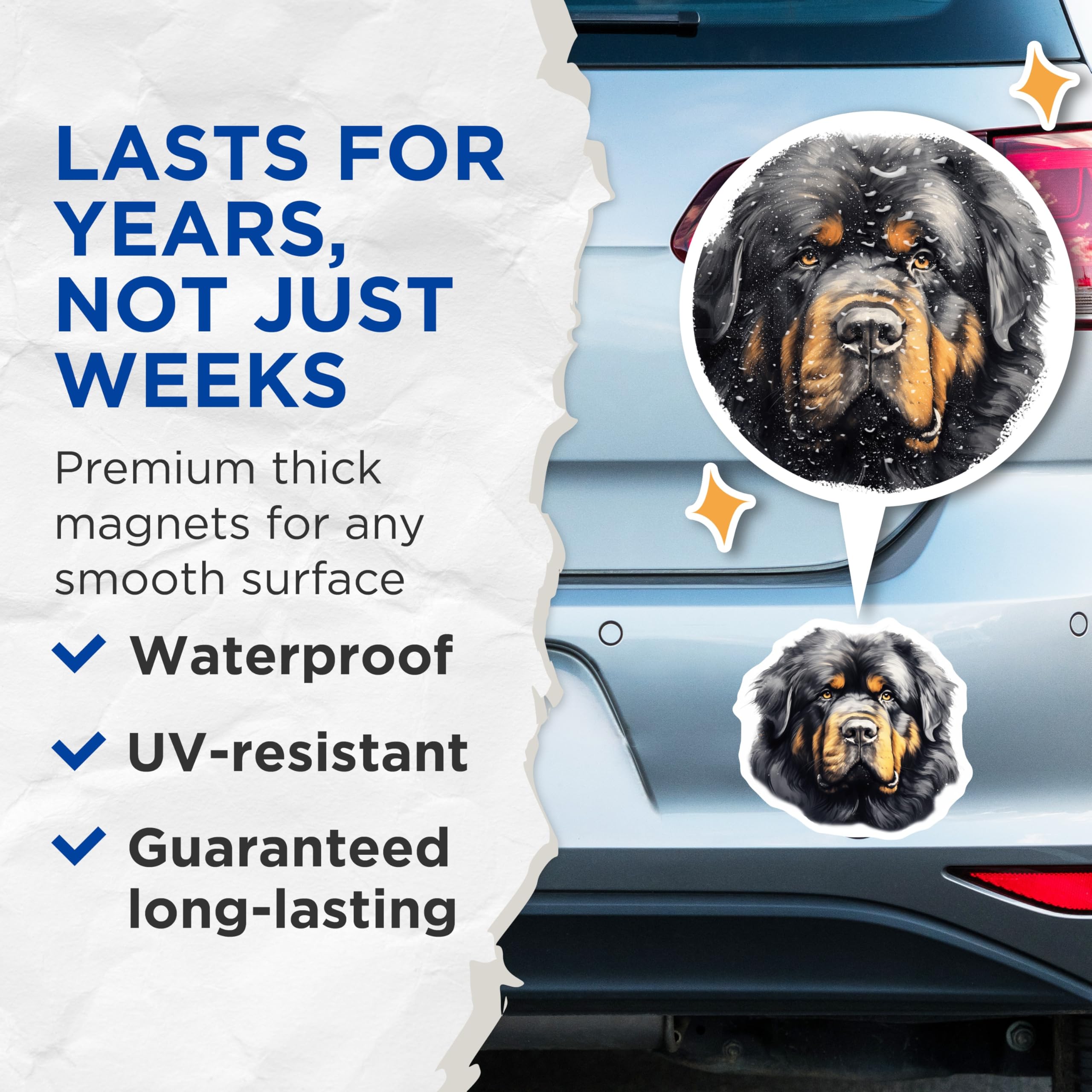 (2 Pack) Tibetan Mastiff Magnets - Regal Dog Breed Art - Big Canine Pet Owner Refrigerator Home Decor - 5 Inches On Longest Side - Thick Durable Magnet - Made in USA - MAG29628