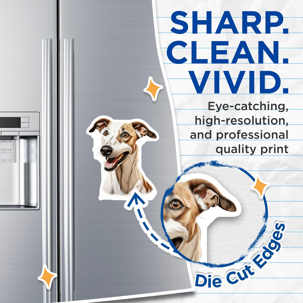 (2 Pack) Happy Greyhound Magnets - Smiling Whippet Dog Art - Pet Animal Lover Decor for Dog Mom Dad Home Fridge - 5 Inches On Longest Side - Thick Durable Magnet - Made in USA - MAG23808