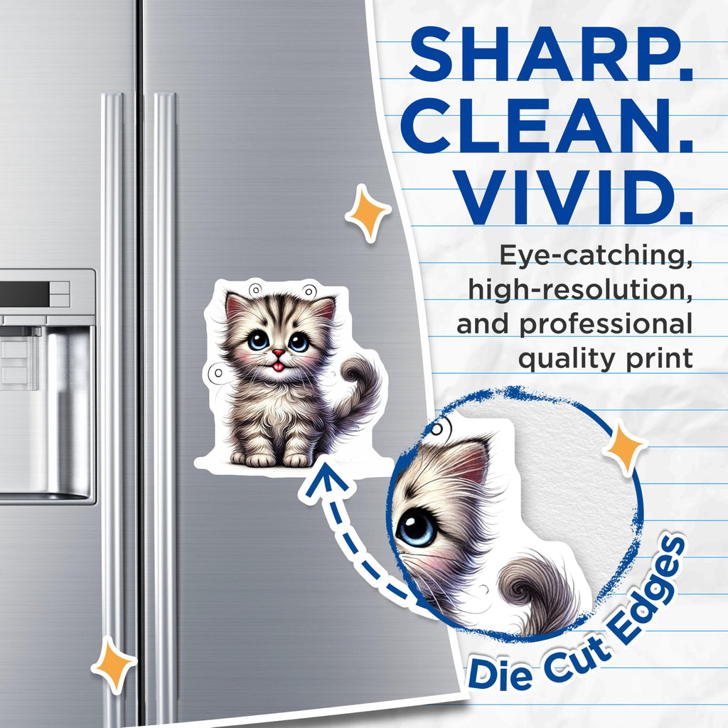 (2 Pack) Kitten Magnets - Cute Tabby Cat - Refrigerator Magnets - 5" On Longest Side - Premium Magnet - for Cars, Refrigerators, Toolboxes, Lockers - Made in USA - MAG16449