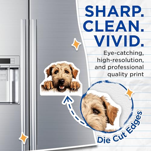 (2 Pack) Puppy Face Refrigerator Decor Magnet - 5" On Longest Side - Sticks to Smooth Flat Surfaces - Made in USA - MAG10284