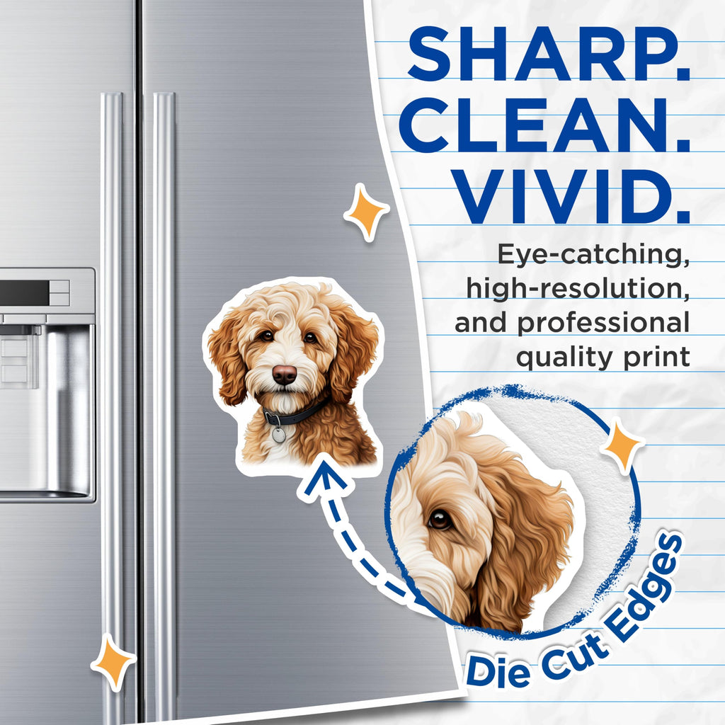 (2 Pack) Goldendoodle Labradoodle Magnets - Cute Dog Fridge Decor - Doodle Mom Pet Lover Refrigerator Art - 5 Inches On Longest Side - Thick Durable Magnet - Made in USA - MAG27553