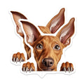 (2 Pack) Animal Lovers Magnet - Home Decoration - Office Fridge Accessories - 5" On Longest Side - Sticks to Smooth Flat Surfaces - Made in USA - MAG10248
