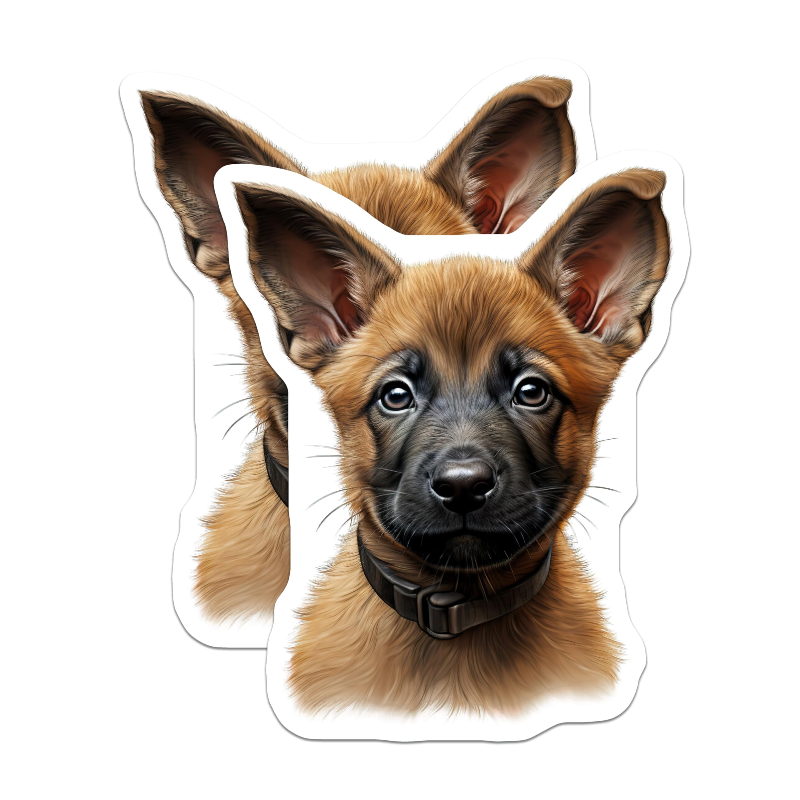 (2 Pack) German Shepherd Puppy Magnets - Dog Lover Kitchen Decor - Pet Parent Refrigerator Accessory - 5 Inches On Longest Side - Thick Durable Magnet - Made in USA - MAG26609