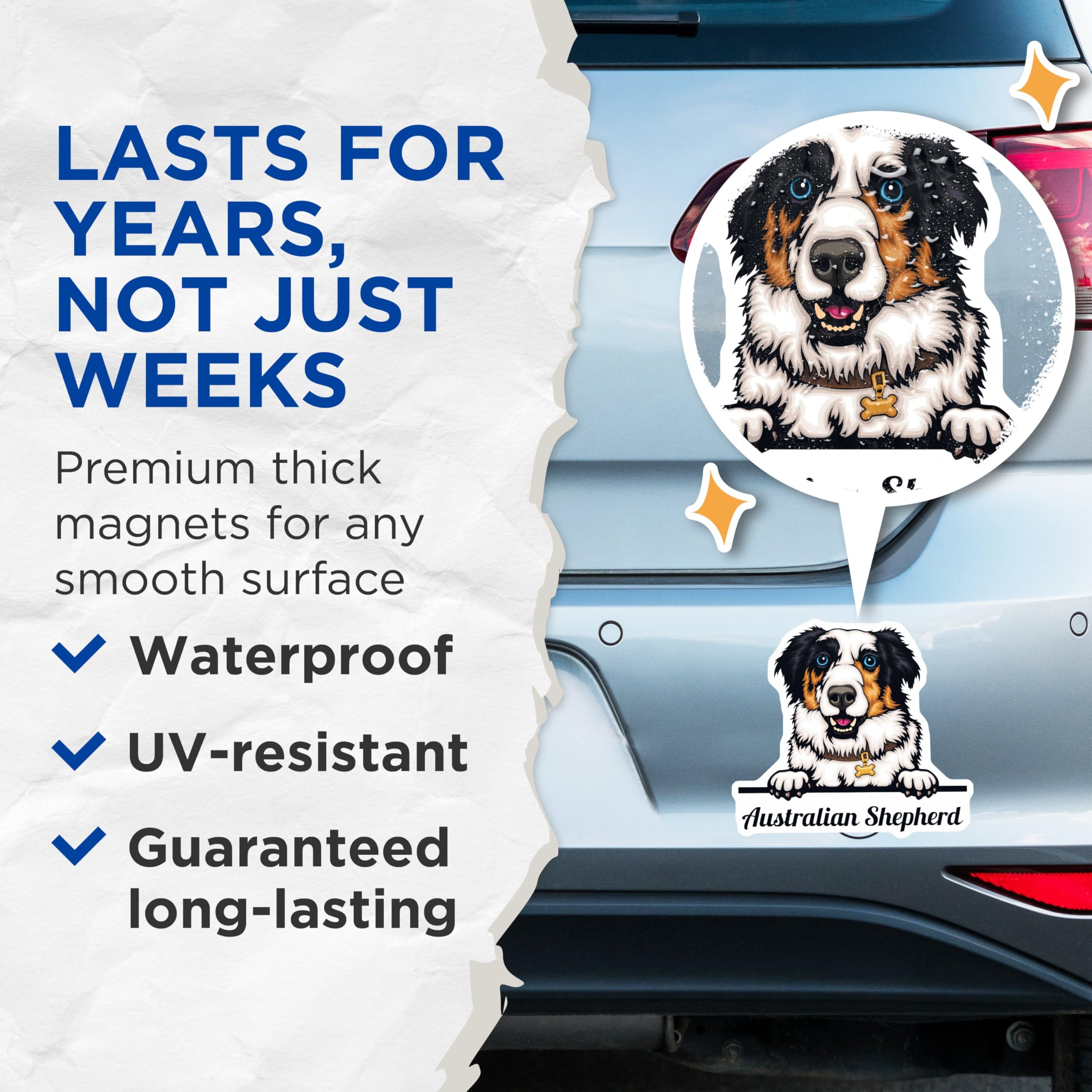 (2 Pack) Australian Shepherd Magnets - Dog Lover Gifts - Fridge - Pet Owner Home Magnet - 5" On Longest Side - for Cars, Fridges, Toolboxes - Made in USA - MAG4218