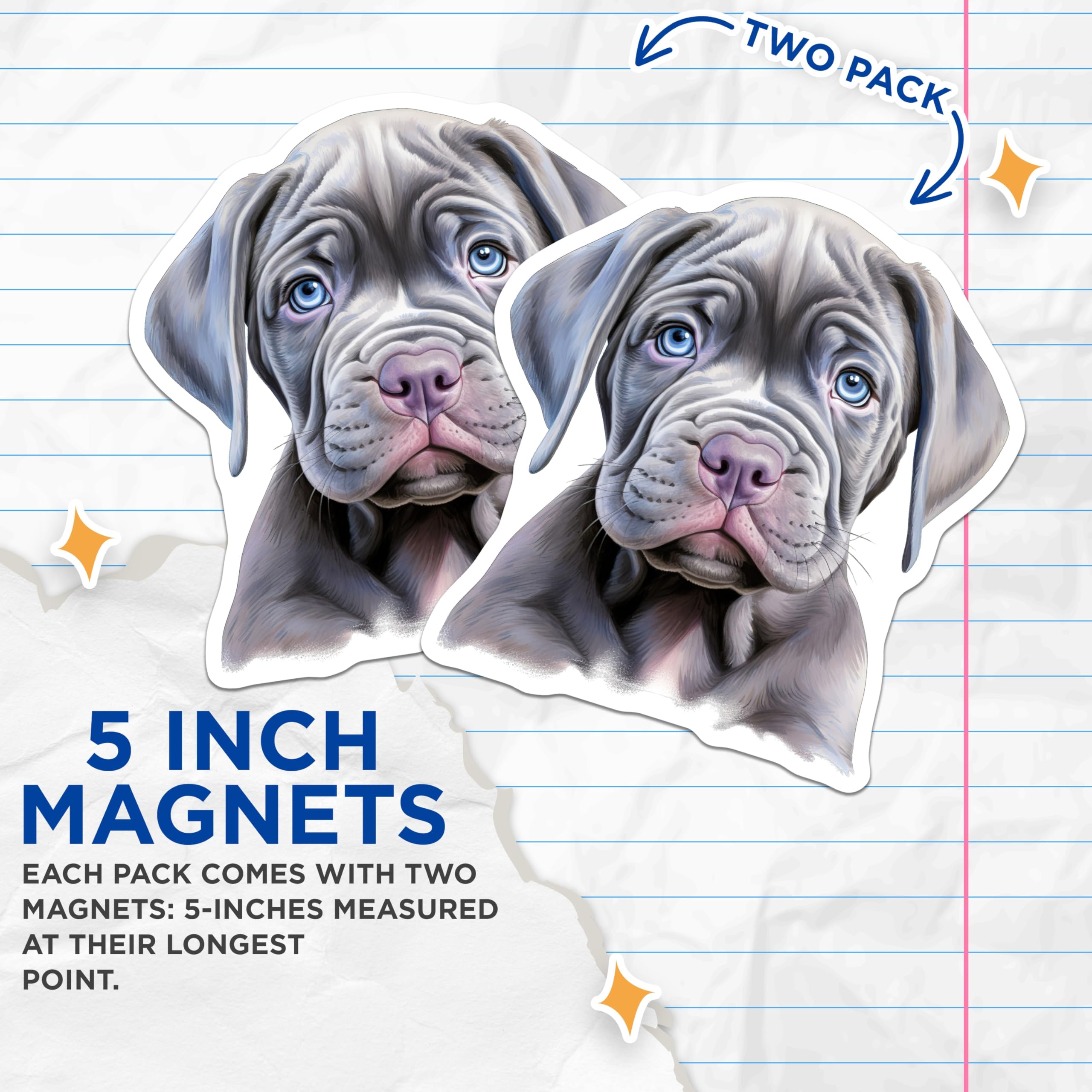 (2 Pack) Neapolitan Mastiff Puppy Magnets - Wrinkly Dog Lover Decor - Blue Eyed Dog Art - 5 Inches On Longest Side - Thick Durable Magnet - Made in USA - MAG26534