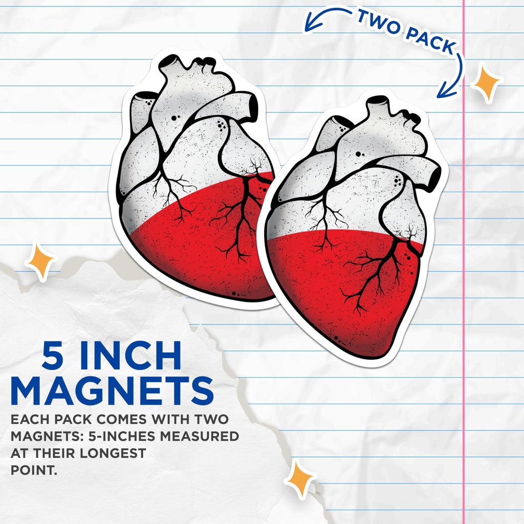 (2 Pack) Anatomical Heart Magnets - Poland Flag Art - Realistic Heart Decor - 5" On Longest Side - Premium Magnet - for Cars, Refrigerators, Toolboxes, Lockers - Made in USA - MAG18118