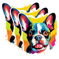 (3 Pack) Boston Terrier Decals - Colorful Dog Art - Laptop Decals - 3 Inches On Longest Side - Easy Peel & Apply - Made in USA - 3MCS0666