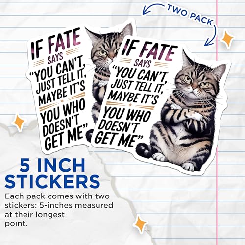 (2 Pack) Funny Cat Stickers - Motivational Quote - Cute Animal Art Decals - 5" On Longest Side - Sticks to Smooth Flat Surfaces - Made in USA - BMCS8758