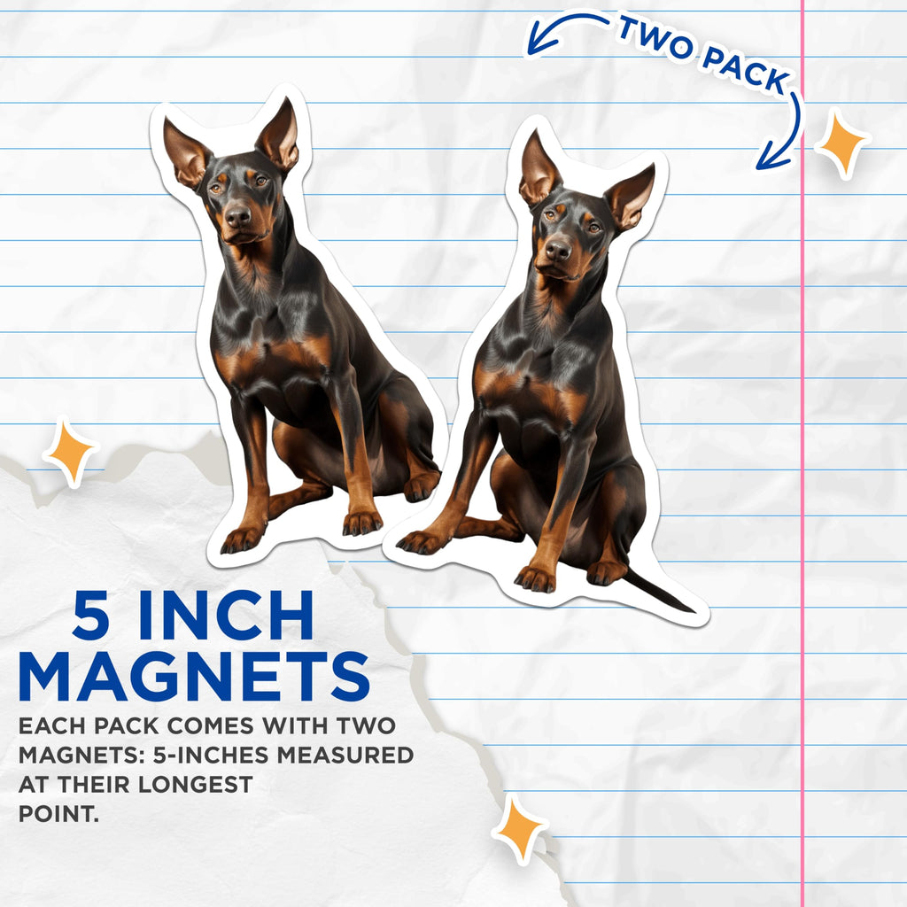 (2 Pack) Doberman Pinscher Dog Magnets - Pet Lover Accessory - Dog Breed Owner Decor - 5 Inches On Longest Side - Thick Durable Magnet - Made in USA - MAG28165