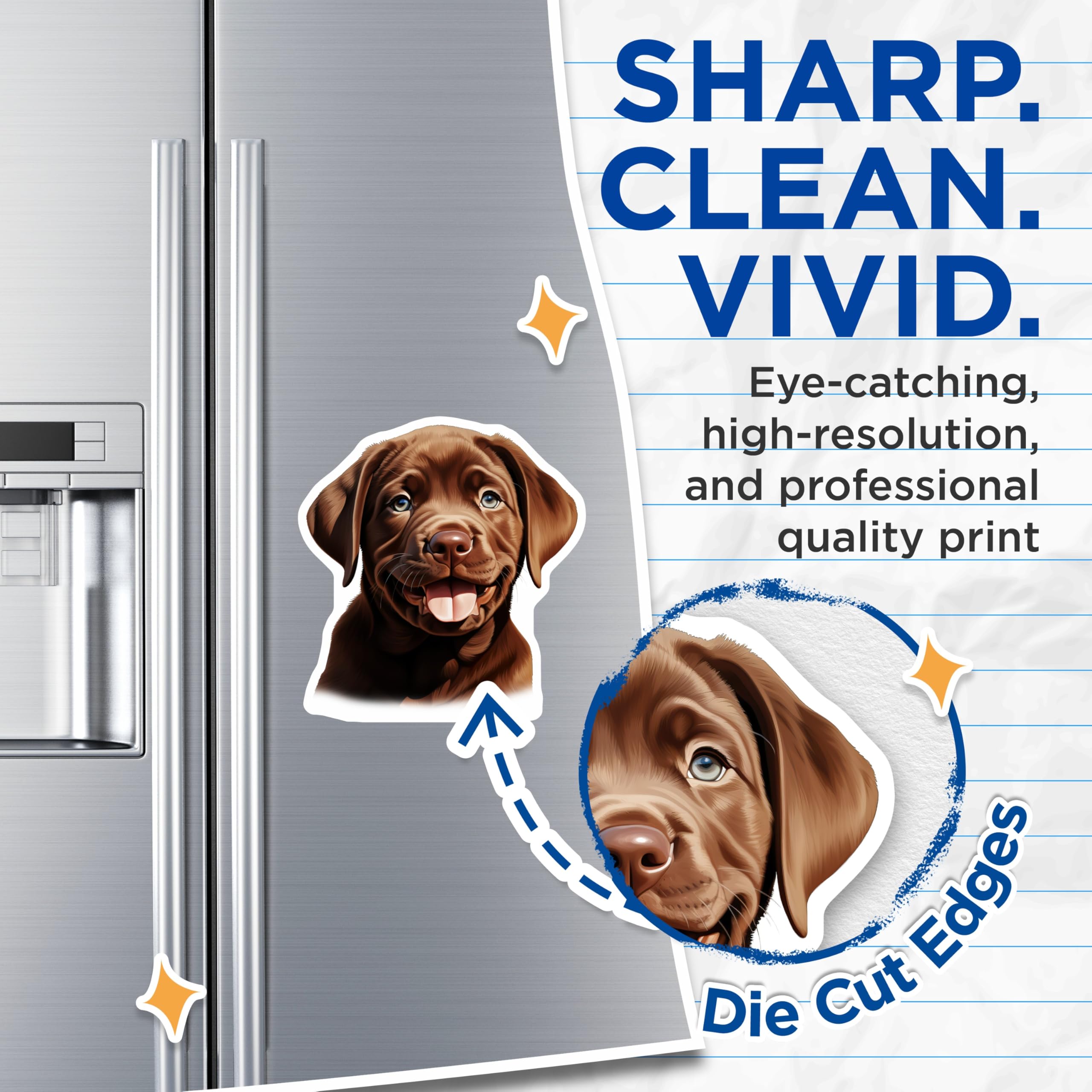 (2 Pack) Chocolate Lab Puppy Magnets - Happy Dog Decor - Labrador Retriever Lover Present Idea - 5 Inches On Longest Side - Thick Durable Magnet - Made in USA - MAG28345