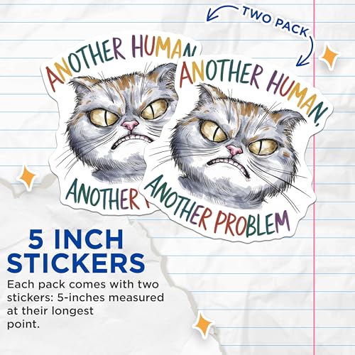 (2 Pack) Funny Cat Stickers - Angry Cat Humor - Pet Lover Decals - 5" On Longest Side - Sticks to Smooth Flat Surfaces - Made in USA - BMCS8562