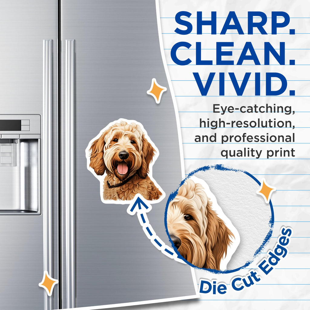 (2 Pack) Labradoodle Magnets - Cheerful Doodle Pup - Pet Lover Fridge Display - Adorable Dog Breed Artwork Decor - 5 Inches On Longest Side - Thick Durable Magnet - Made in USA - MAG24751