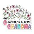 (2 Pack) Grandma Decor Magnet - 5" On Longest Side - Sticks to Smooth Flat Surfaces - Made in USA - MAG10190