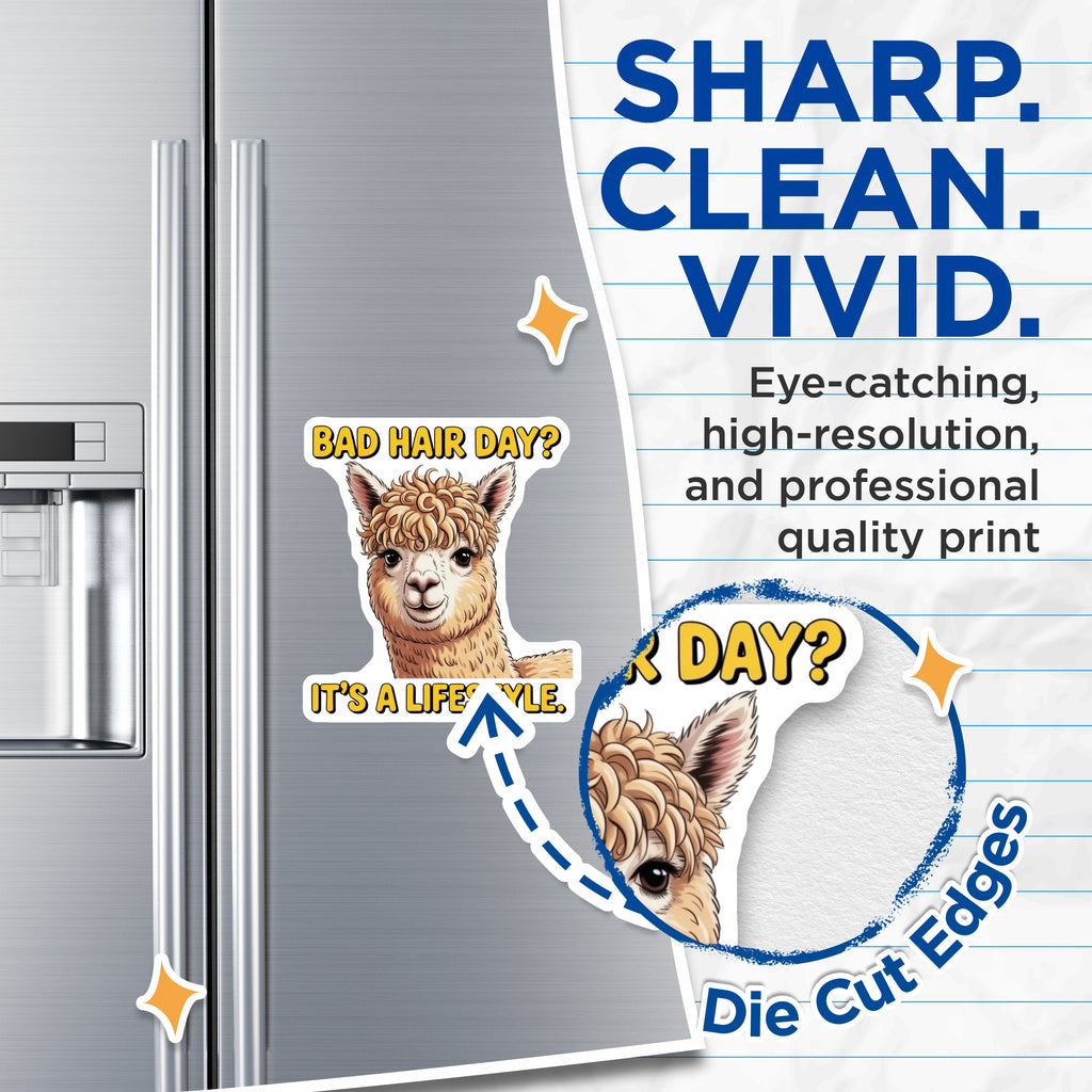 (2 Pack) Bad Hair Day Alpaca Magnets - Funny Llama Refrigerator Magnet - Curly Hair Meme Humor Locker Decor - Quirky Animal Office Display - 5" - Durable Magnet - Made in USA - MAG37622