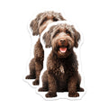 (2 Pack) Labradoodle Magnets - Goldendoodle Puppy Decor - Cute Animal Fridge Accessories - 5 Inches On Longest Side - Thick Durable Magnet - Made in USA - MAG30904
