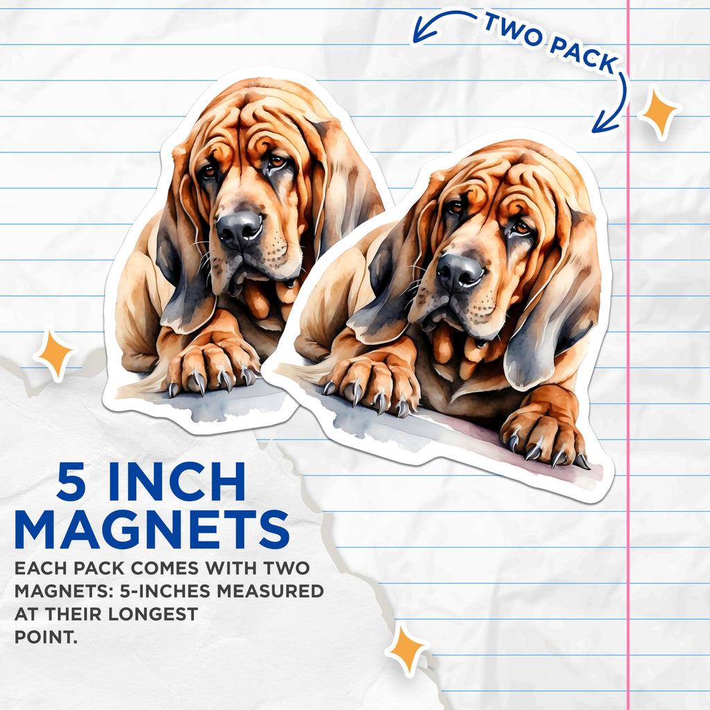 (2 Pack) Bloodhound Magnets - Dog Breed Art Magnets - Hound Dog Fridge Magnets - 5" On Longest Side - Premium Magnet - for Cars, Refrigerators, Toolboxes, Lockers - Made in USA - MAG15283