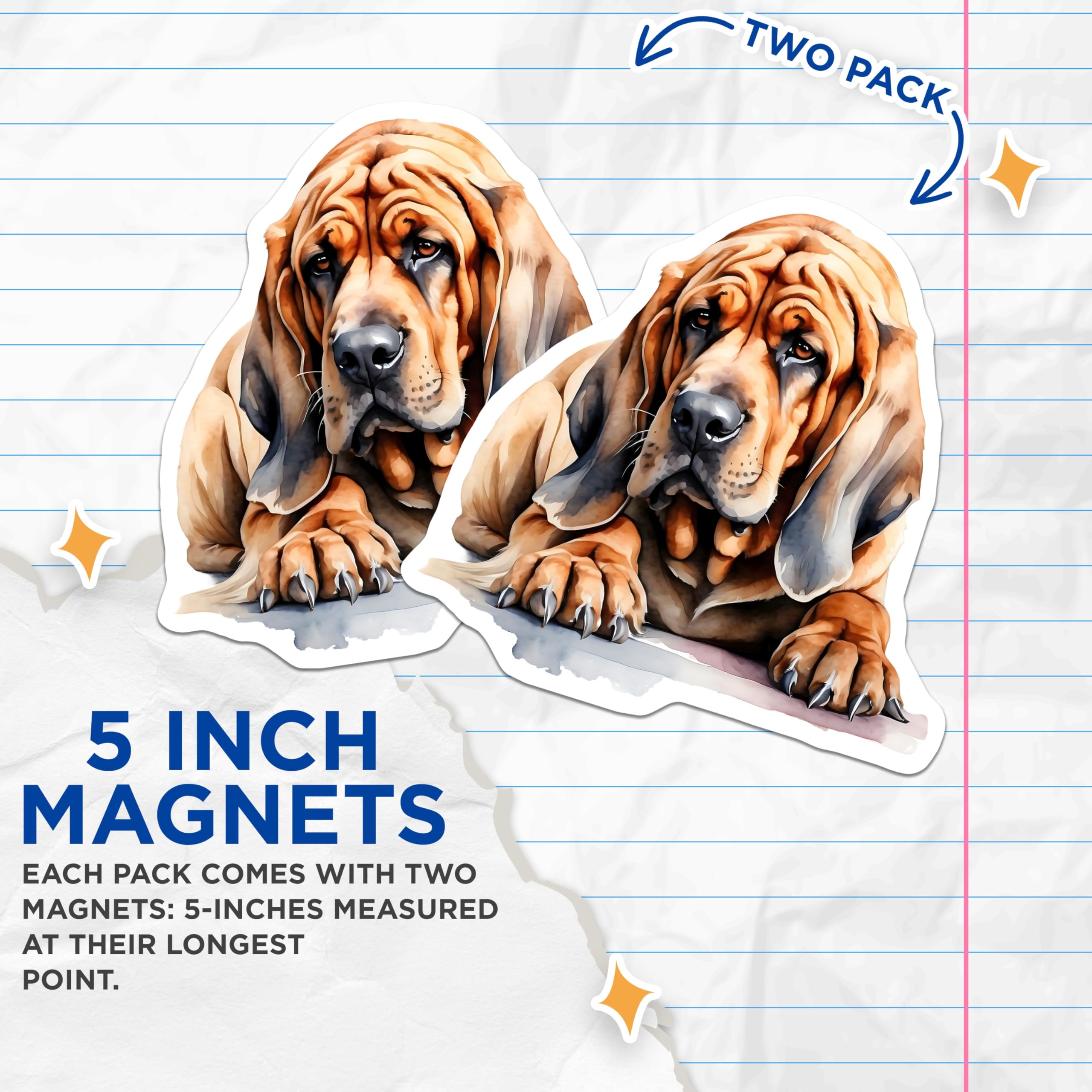 (2 Pack) Bloodhound Magnets - Dog Breed Art Magnets - Hound Dog Fridge Magnets - 5" On Longest Side - Premium Magnet - for Cars, Refrigerators, Toolboxes, Lockers - Made in USA - MAG15283