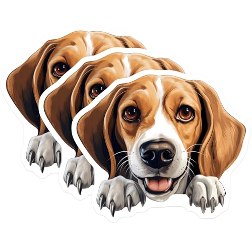 (3 Pack) Beagle Decals - Laptop Stickers - Dog Breed Decals - 3 Inches On Longest Side - Easy Peel & Apply - Made in USA - 3MCS8585