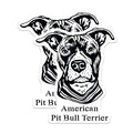 (2 Pack) American Pit Bull Terrier Magnets - Dog Lovers - Animal Magnet Collection - 5" On Longest Side - for Cars, Fridges, Toolboxes - Made in USA - MAG4015