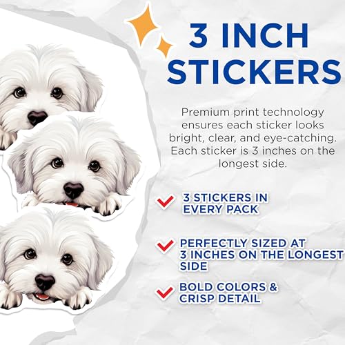 (3 Pack) Maltese Dog Decals - Puppy Dog Stickers - Laptop Decals - 3 Inches On Longest Side - Easy Peel & Apply - Made in USA - 3MCS8706