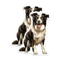 (2 Pack) Border Collie Magnets - Dog Owner Accessories - Herd Dog Fridge Art - 5 Inches On Longest Side - Thick Durable Magnet - Made in USA - MAG27824