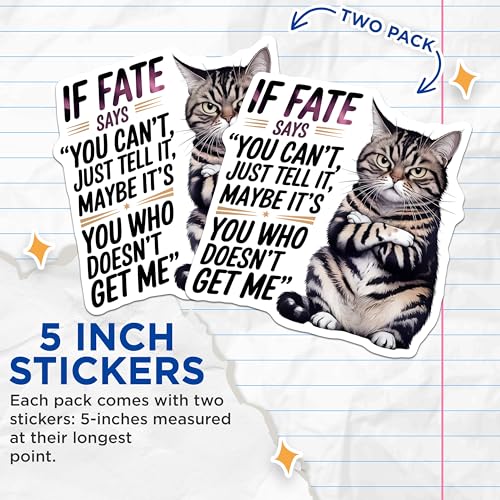 (2 Pack) Funny Cat Quote Stickers - Cat Attitude Joke - Humorous Cat Sayings - 5" On Longest Side - Sticks to Smooth Flat Surfaces - Made in USA - BMCS6065