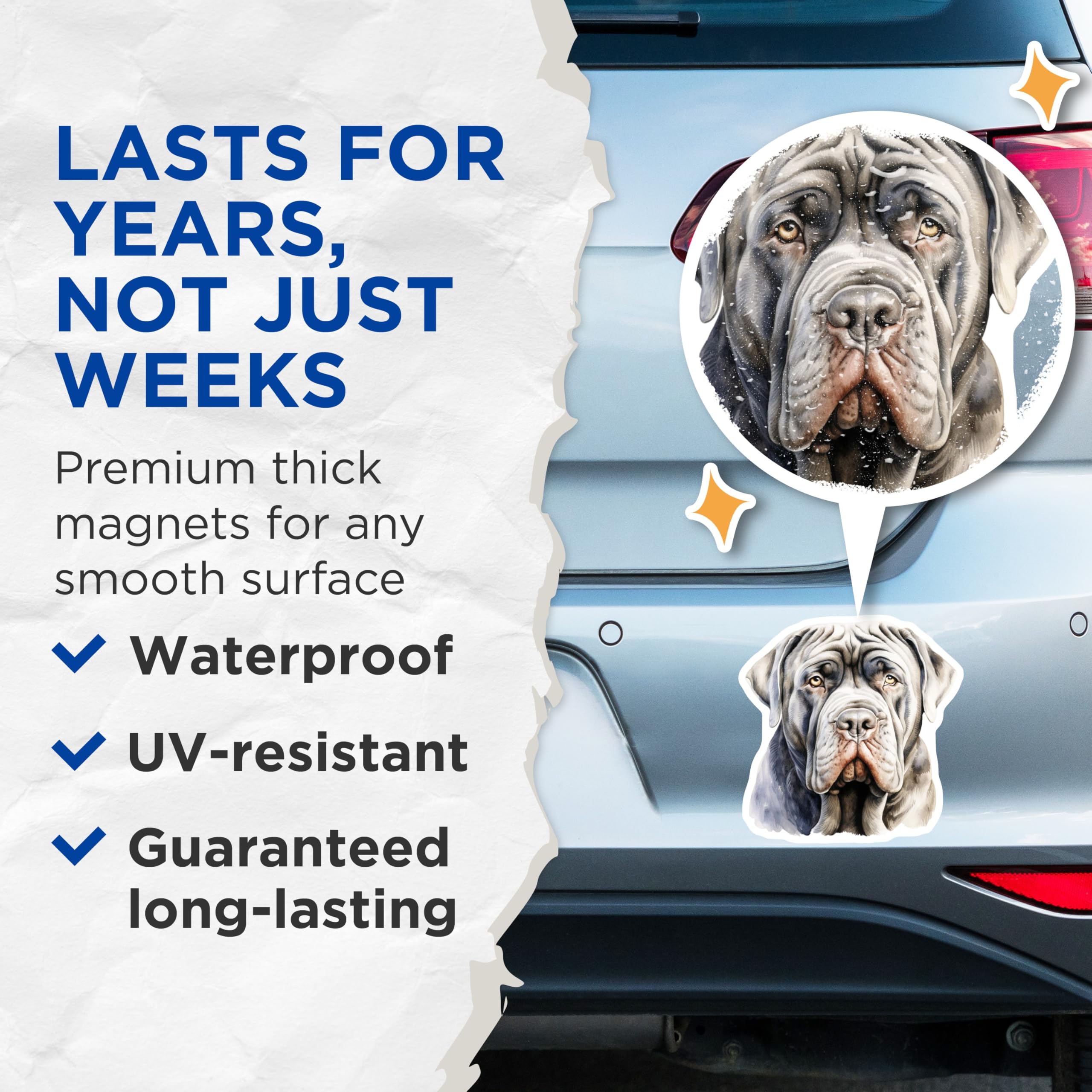 (2 Pack) Neapolitan Mastiff Magnets - Watercolor Dog Breed Art - Loyal Large Dog Lover Fridge Decor - 5 Inches On Longest Side - Thick Durable Magnet - Made in USA - MAG26748
