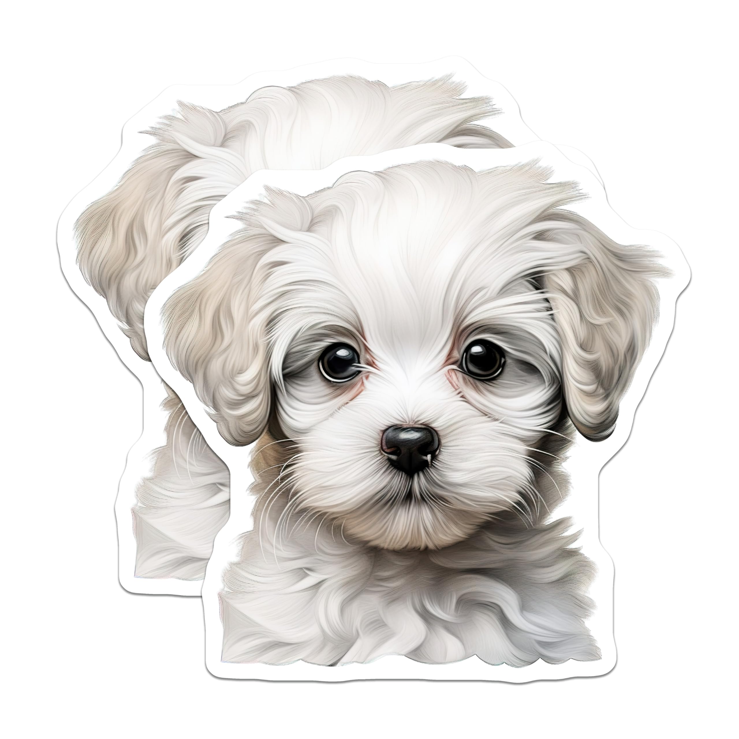 (2 Pack) Cute Puppy Magnets - White Fluffy Dog Lover - Pet Parent Refrigerator Locker Decor - 5 Inches On Longest Side - Thick Durable Magnet - Made in USA - MAG27310