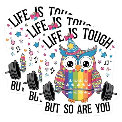 (3 Pack) Owl Decals - Weightlifting Bird - Motivational Life Quote Decal- 3 Inches On Longest Side - Easy Peel & Apply - Made in USA - 3MCS5727