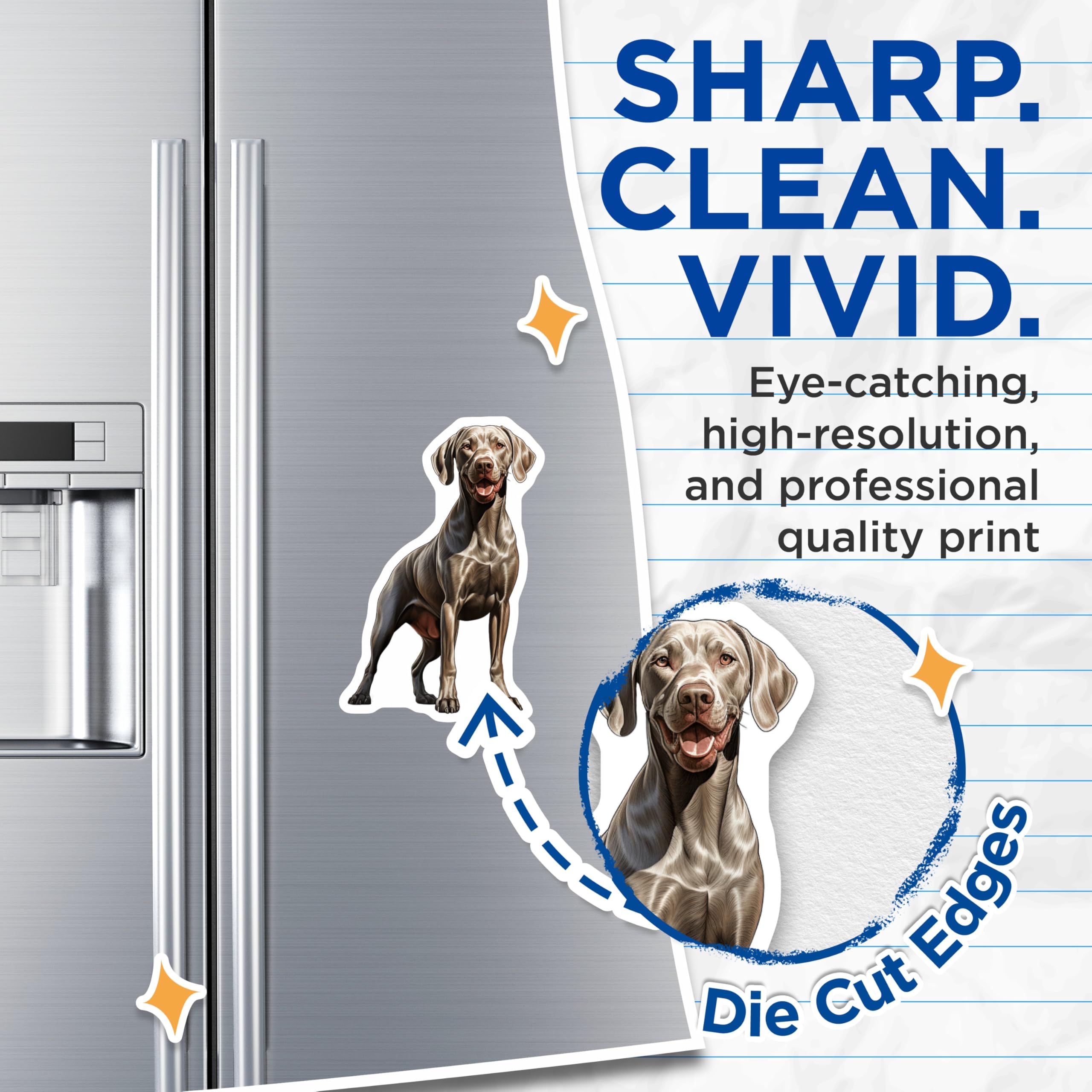 (2 Pack) Weimaraner Magnets - Lifelike Dog Breed Art - Pet Lover Refrigerator Decor - Dog Mom Accessory - 5 Inches On Longest Side - Thick Durable Magnet - Made in USA - MAG28872