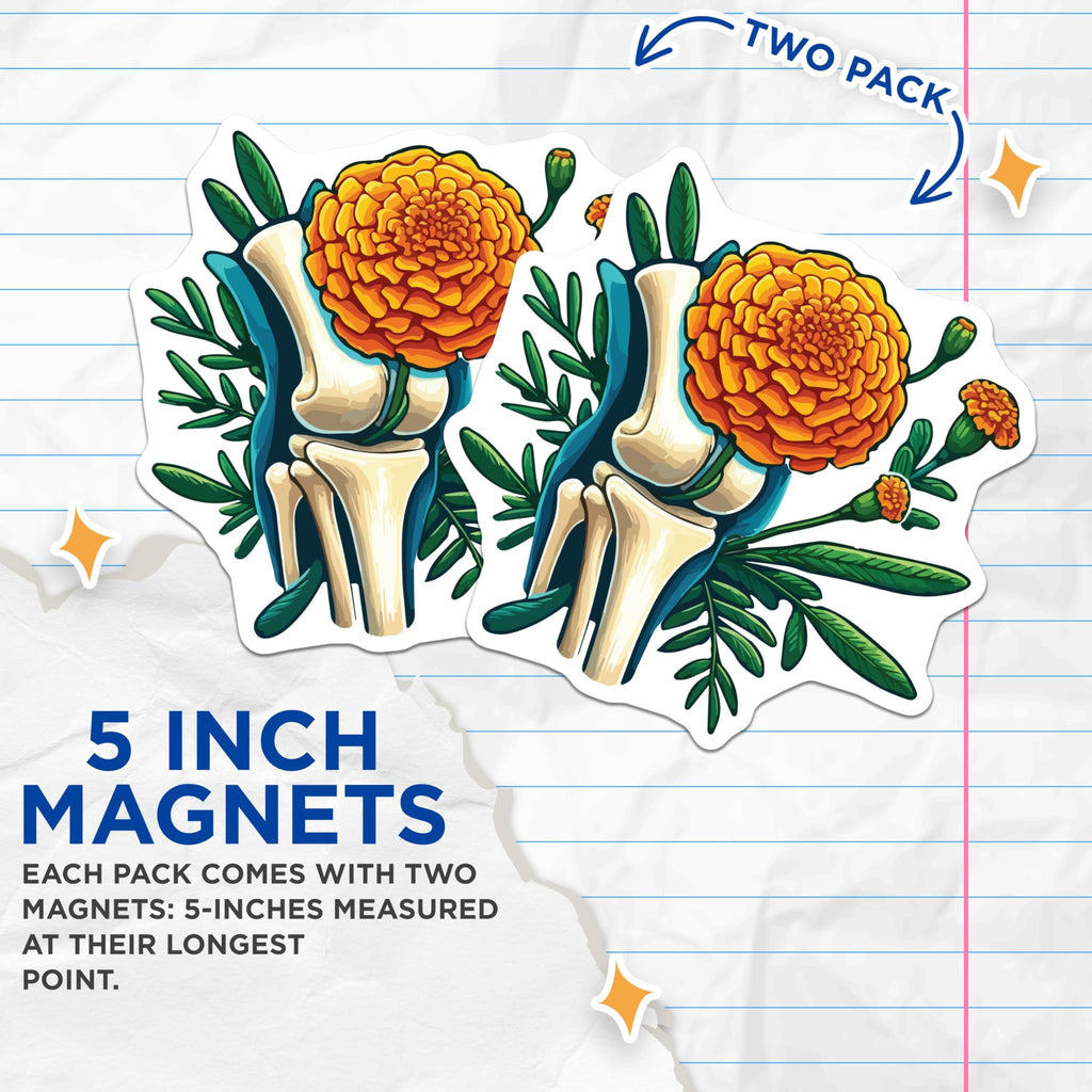 (2 Pack) Knee Bone Marigold Magnets - Human Anatomy Art - Floral Skeletal Decor - 5 Inches On Longest Side - Thick Durable Magnet - Made in USA - MAG19946