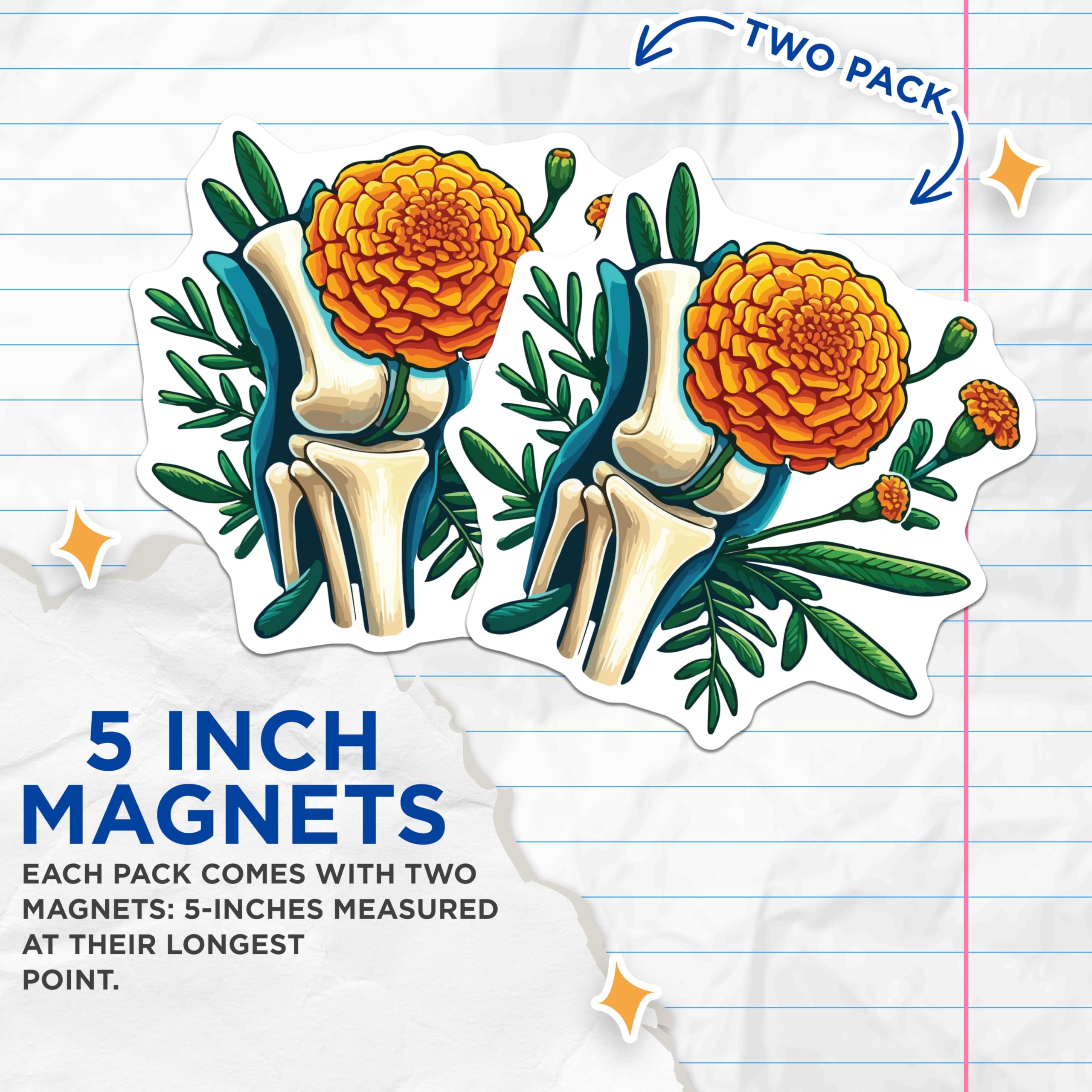 (2 Pack) Knee Bone Marigold Magnets - Human Anatomy Art - Floral Skeletal Decor - 5 Inches On Longest Side - Thick Durable Magnet - Made in USA - MAG19946