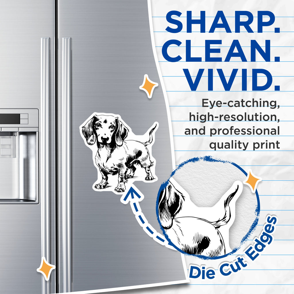(2 Pack) Dachshund Dog Magnets - Wiener Dog Lover Refrigerator Decor - Pet Parent Kitchen Animal Art Accents - 5 Inches On Longest Side - Thick Durable Magnet - Made in USA - MAG39811
