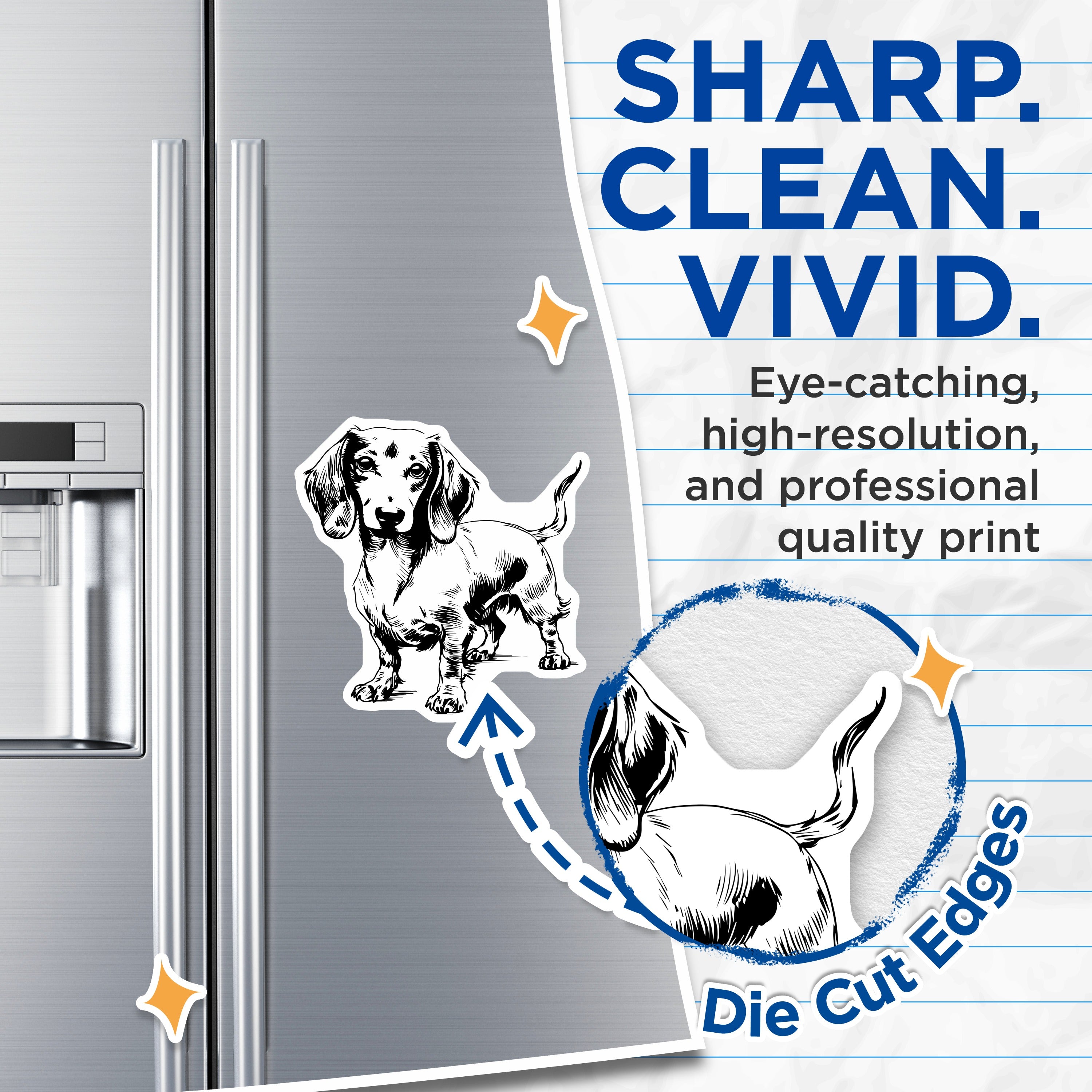 (2 Pack) Dachshund Dog Magnets - Wiener Dog Lover Refrigerator Decor - Pet Parent Kitchen Animal Art Accents - 5 Inches On Longest Side - Thick Durable Magnet - Made in USA - MAG39811