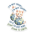 (2 Pack) Funny Cat Magnets - Down to Earth Magnet - Kitten Lover Refrigerator Decor - 5" On Longest Side - Premium Magnet - for Cars, Refrigerators, Toolboxes, Lockers - Made in USA - MAG14594