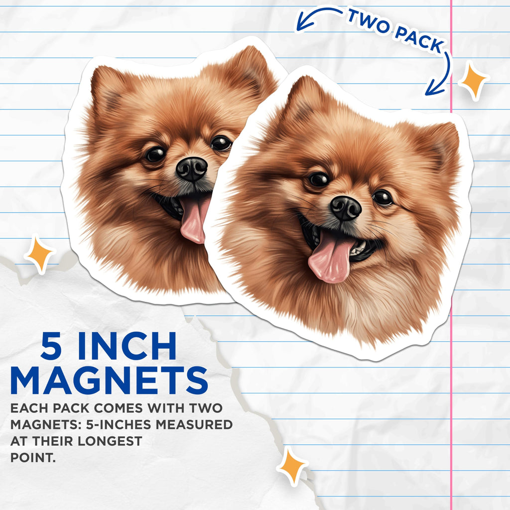 (2 Pack) Pomeranian Dog Magnets - Happy Smiling Fluffy Puppy - Pet Lover Refrigerator Locker Decor - 5 Inches On Longest Side - Thick Durable Magnet - Made in USA - MAG24178