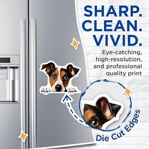 (2 Pack) Animal Fridge Decor Magnet - 5" On Longest Side - Sticks to Smooth Flat Surfaces - Made in USA - MAG10283