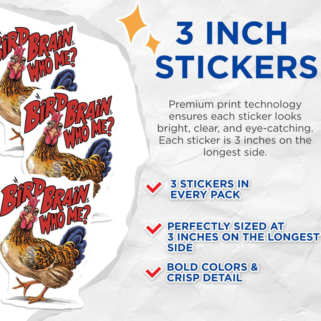(3 Pack) Funny Chicken Decals - Bird Brain Who Me - Laptop Decal - 3 Inches On Longest Side - Easy Peel & Apply - Made in USA - 3MCS2979