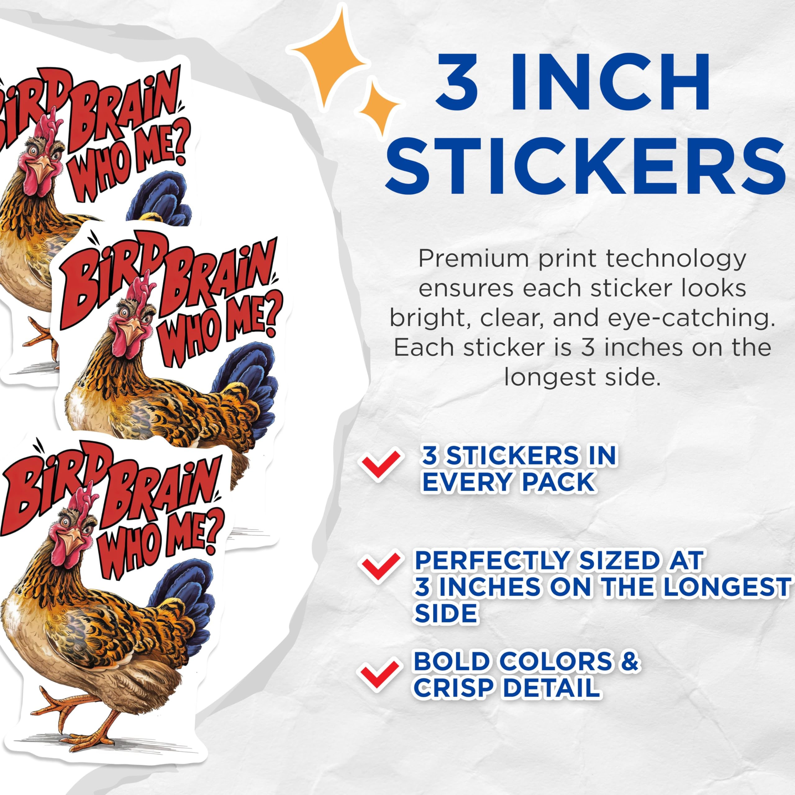 (3 Pack) Funny Chicken Decals - Bird Brain Who Me - Laptop Decal - 3 Inches On Longest Side - Easy Peel & Apply - Made in USA - 3MCS2979