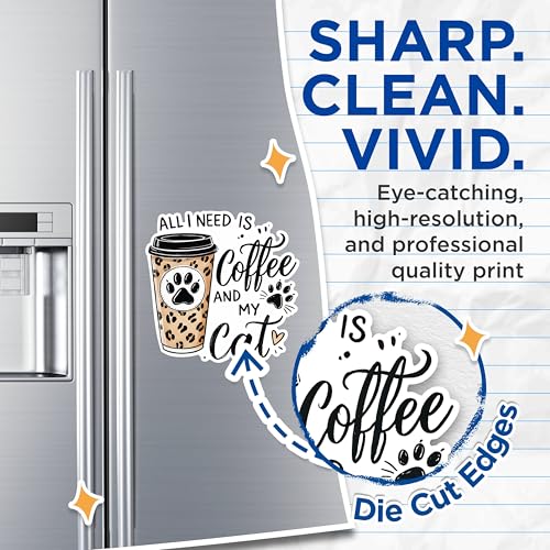 (2 Pack) Coffee and Cat Magnets - Cat Lover Kitchen Magnets - Coffee Cat Decor Magnets - Cute Animal Magnets- 5" On Longest Side - for Fridges, Toolboxes, Cars - Made in USA - MAG2800