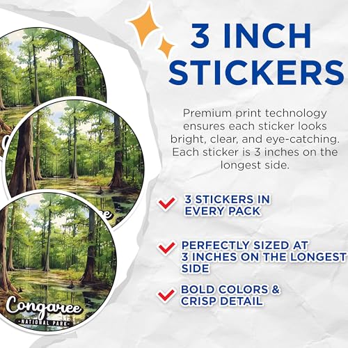 (3 Pack) Congaree National Park Decals - Swamp Landscape - Nature Scene Decal - 3 Inches On Longest Side - Easy Peel & Apply - Made in USA - 3MCS0495