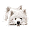 (2 Pack) Animal Fridge Decoration Magnet - 5" On Longest Side - Sticks to Smooth Flat Surfaces - Made in USA - MAG10269