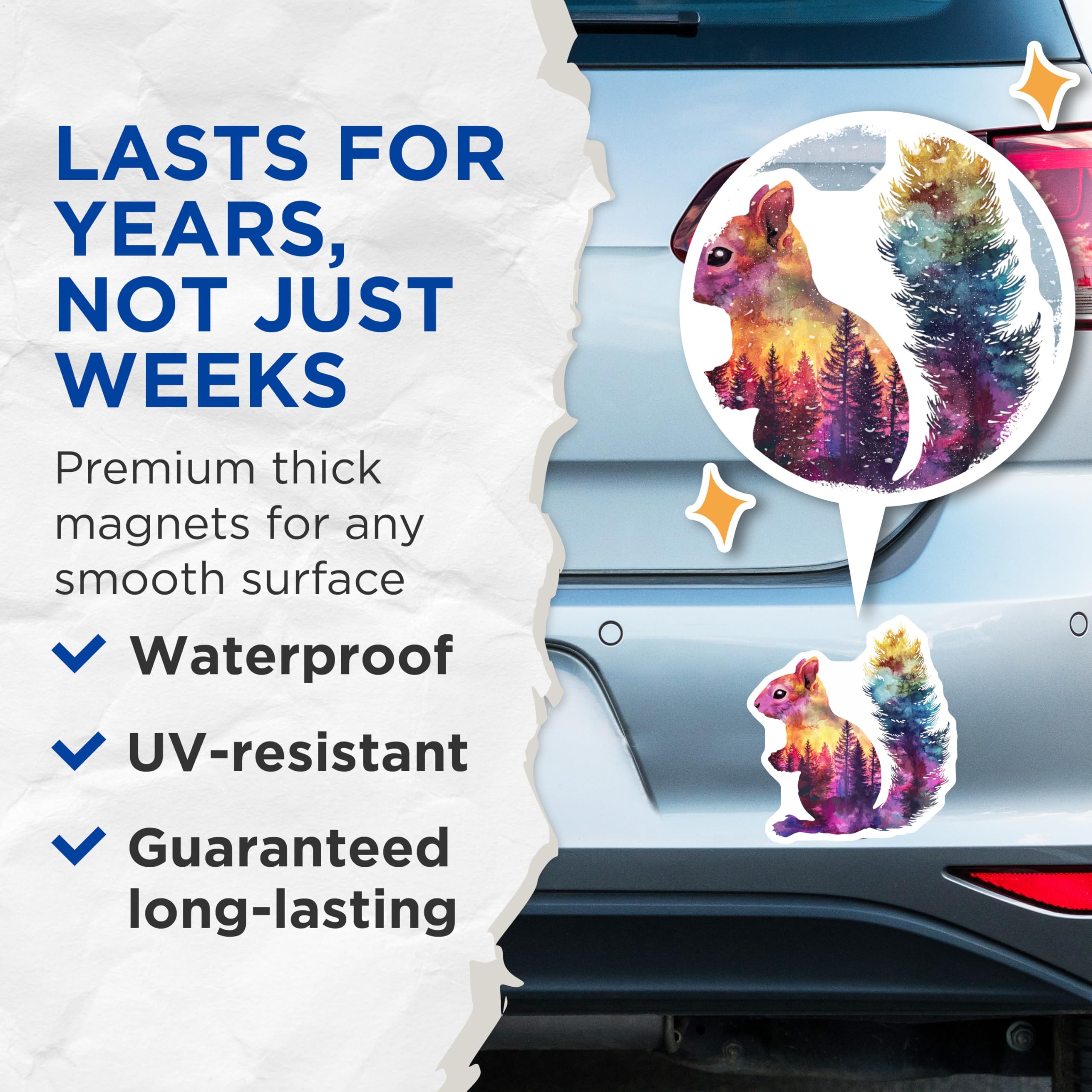 (2 Pack) Squirrel Magnets - Watercolor Forest - Animal Fridge Magnets - 5" On Longest Side - Premium Magnet - for Cars, Refrigerators, Toolboxes, Lockers - Made in USA - MAG15340