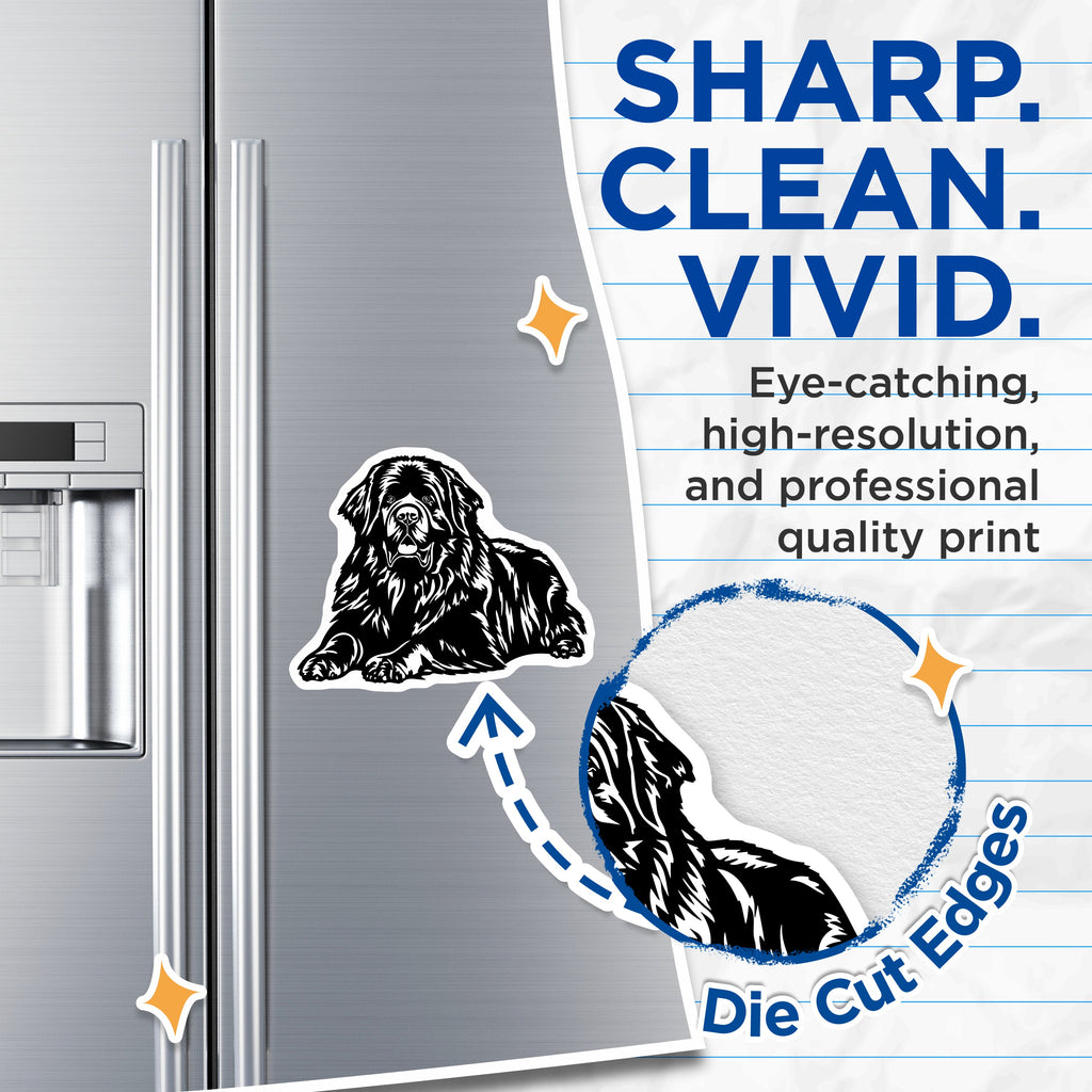 (2 Pack) Newfoundland Dog Magnets - Newfie Owner Decor - Large Breed Animal Art - Pet Lover Refrigerator - 5 Inches On Longest Side - Thick Durable Magnet - Made in USA - MAG38253
