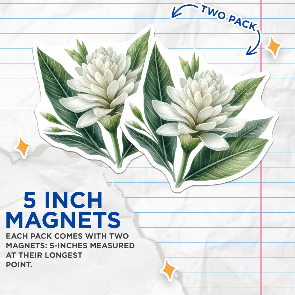 (2 Pack) White Ginger Lily Magnets - Tropical Botanical Flower Art - Refrigerator Kitchen Decor - Elegant Garden Plant Motif - 5 Inches On Longest Side - Thick Durable Magnet - Made in USA - MAG20353