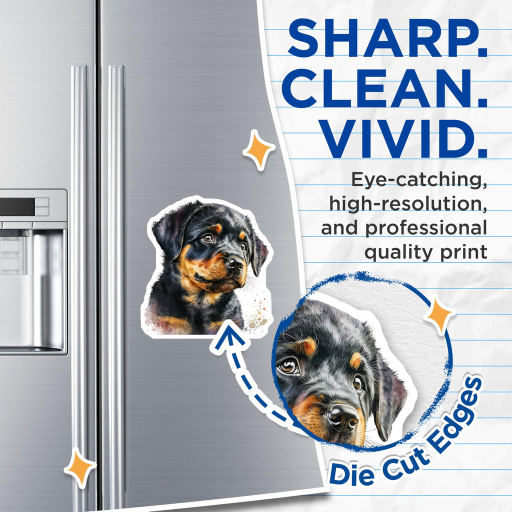 (2 Pack) Rottweiler Puppy Magnets - Dog Lover Decor - Refrigerator Magnets - 5" On Longest Side - Premium Magnet - for Cars, Refrigerators, Toolboxes, Lockers - Made in USA - MAG15403