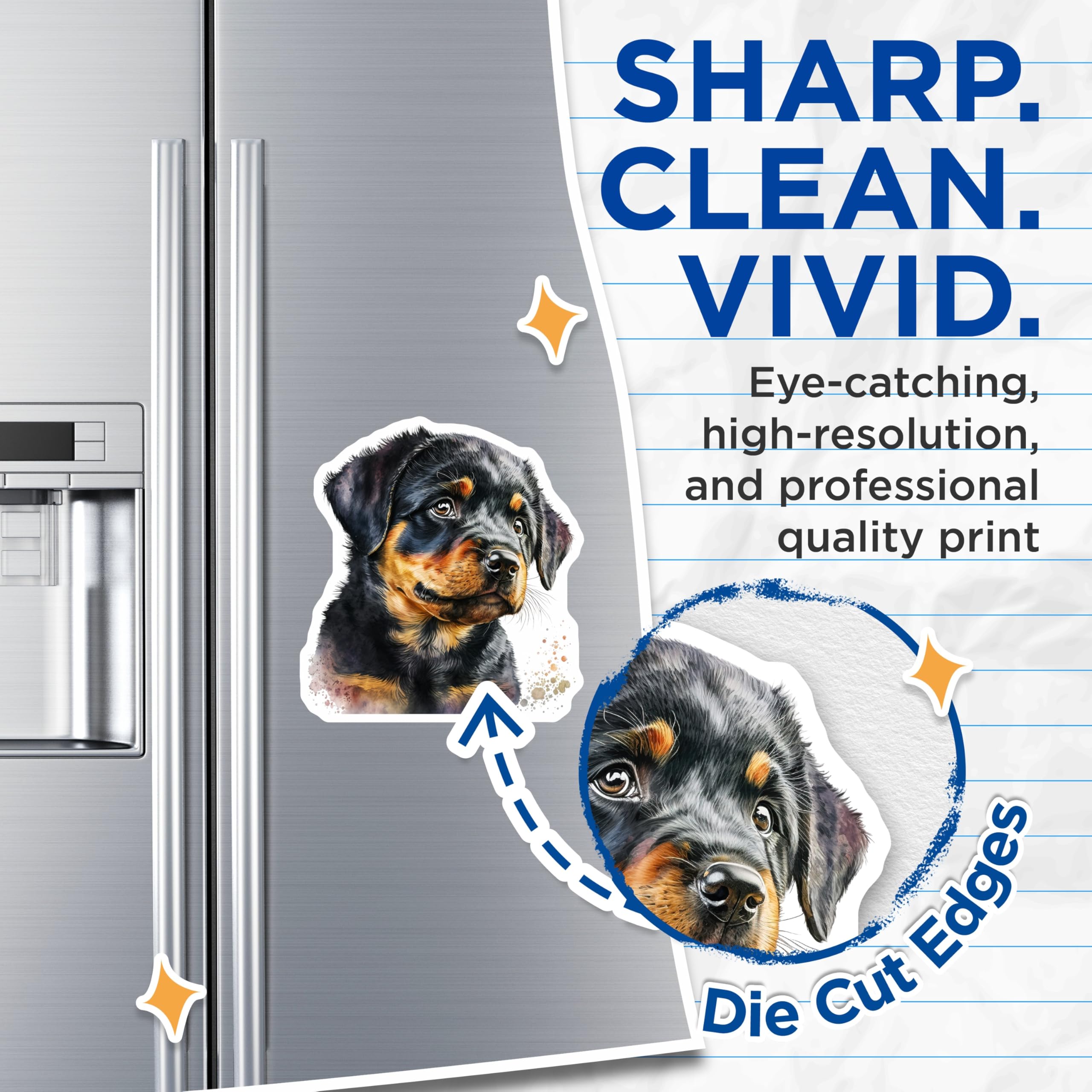 (2 Pack) Rottweiler Puppy Magnets - Dog Lover Decor - Refrigerator Magnets - 5" On Longest Side - Premium Magnet - for Cars, Refrigerators, Toolboxes, Lockers - Made in USA - MAG15403