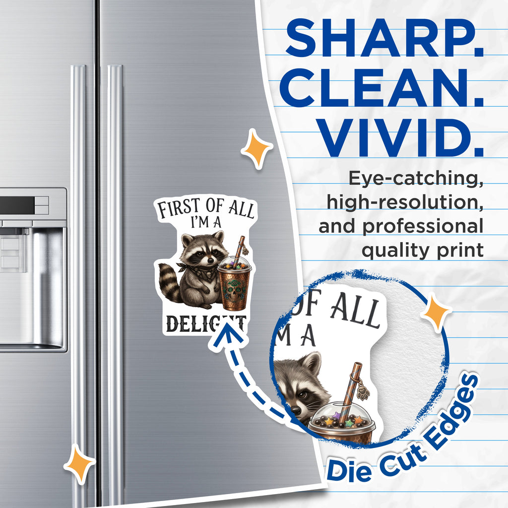 (2 Pack) Sassy Raccoon Boba Magnets - Grumpy Animal Quote Fridge Decor - Delightful Humor Accessory - 5 Inches On Longest Side - Thick Durable Magnet - Made in USA - MAG37115